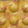Dompan